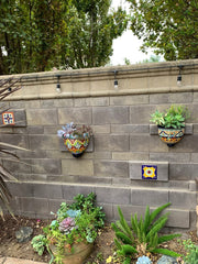 Vallarta - Large Ceramic Wall Planter