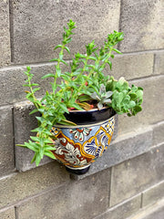 Veracruz - Ceramic Wall Planter