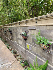 Veracruz - Ceramic Wall Planter